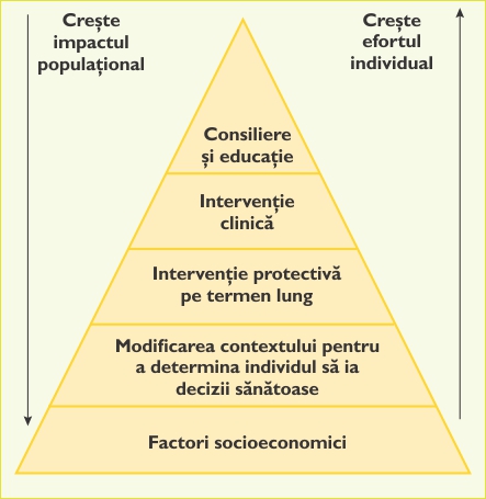 Piramida impactului asupra sănătății
