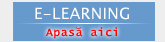 E-Learning