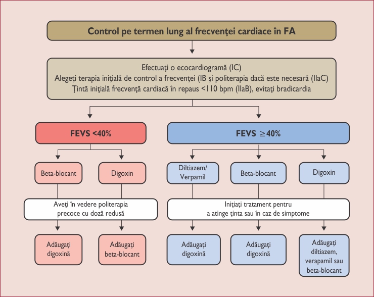 Controlul pe termen lung al frecvenței cardiace în FA