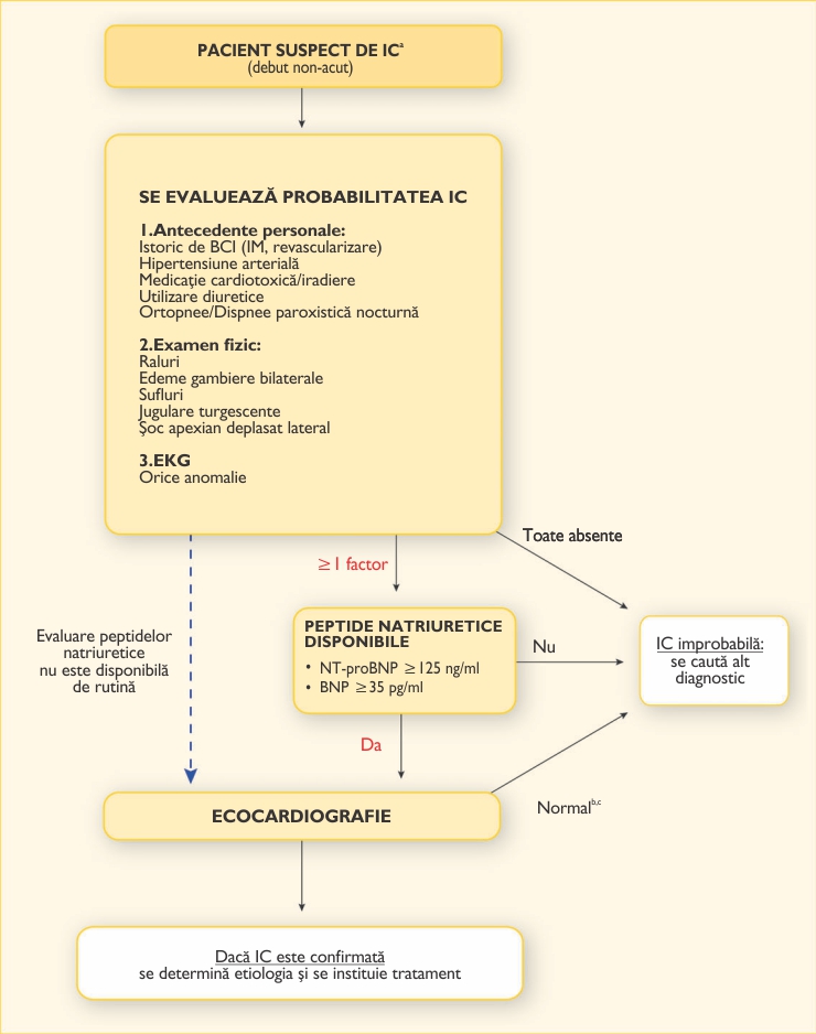 Standarde protocoale de tratare a artrozei - aptra.ro