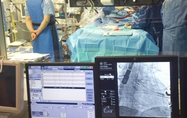 Curs: Curs: Inlocuirea trans-cateter a valvei aortice TAVR